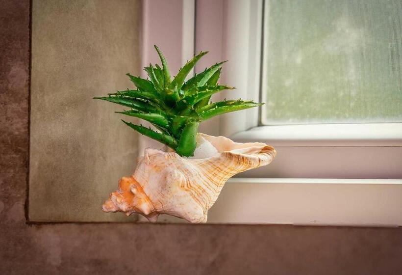 ベッドアンドブレックファースト The Palace By Ocean