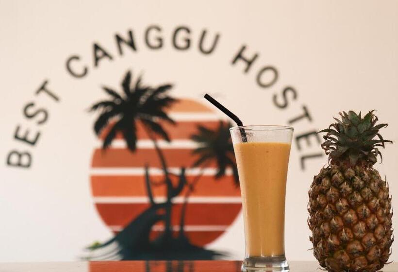 Best Canggu Hostel