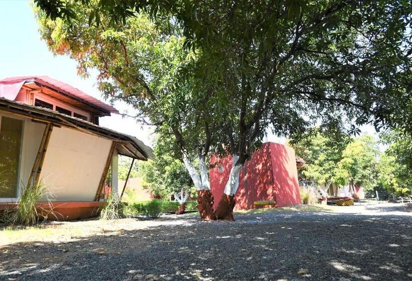 Hotel Amraness Luxury Resort Sasan Gir