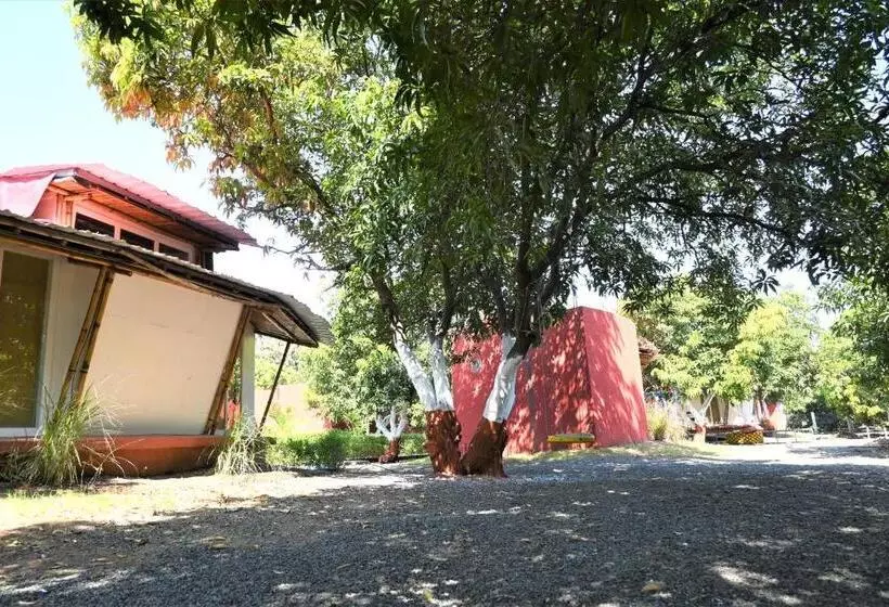 ホテル Amraness Luxury Resort Sasan Gir