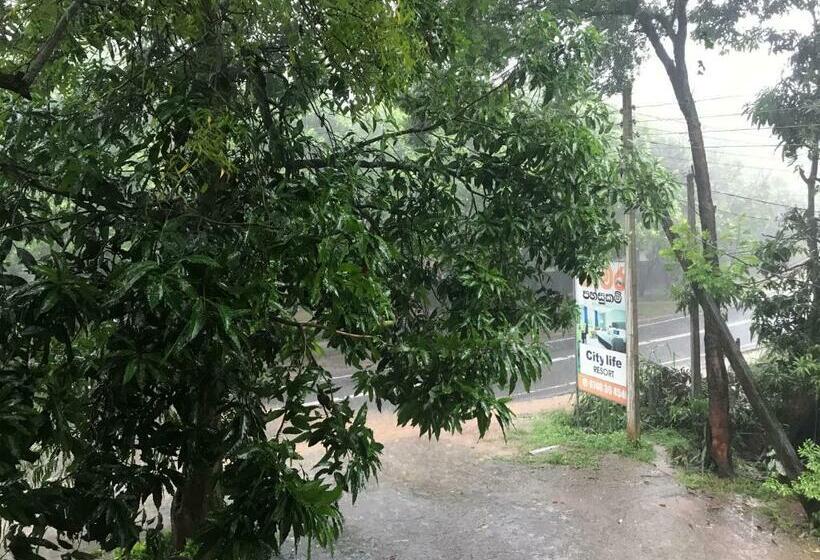 בית מלון כפרי City Life