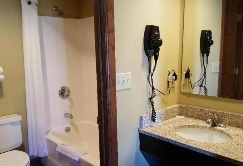 酒店 Jackson Town House Inn