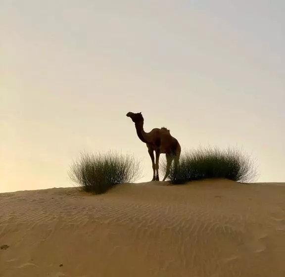 Hotelli Relax Inn Jaisalmer