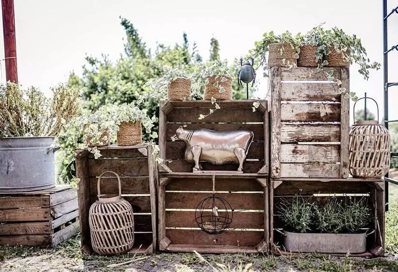 Hotelli Tinyparks Cast Away