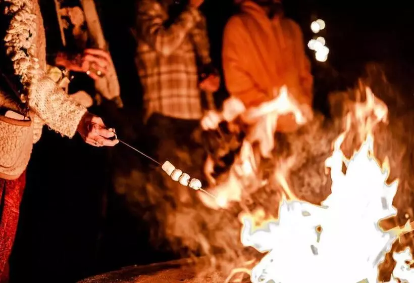 Hotelli Tinyparks Cast Away