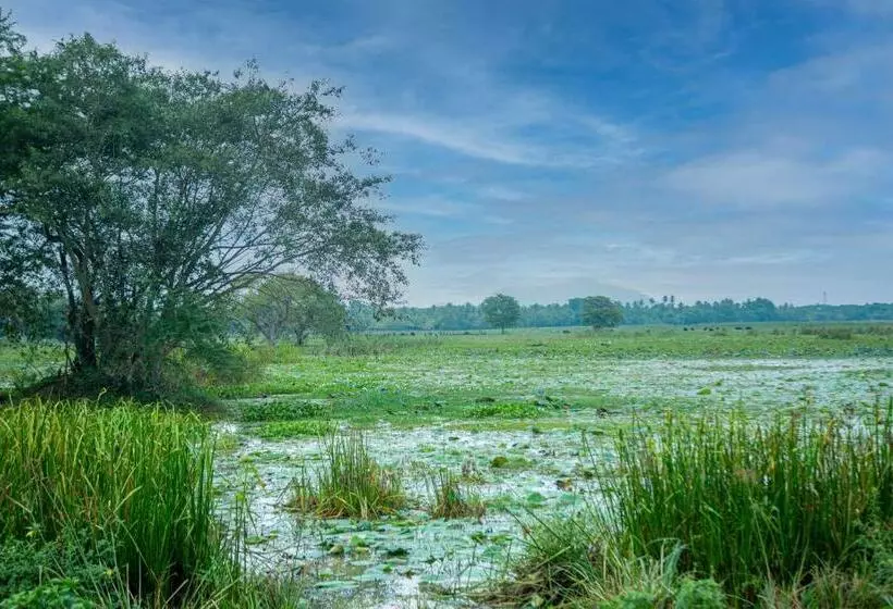 Hotelli Yala Viewer Bird Resort And Safari