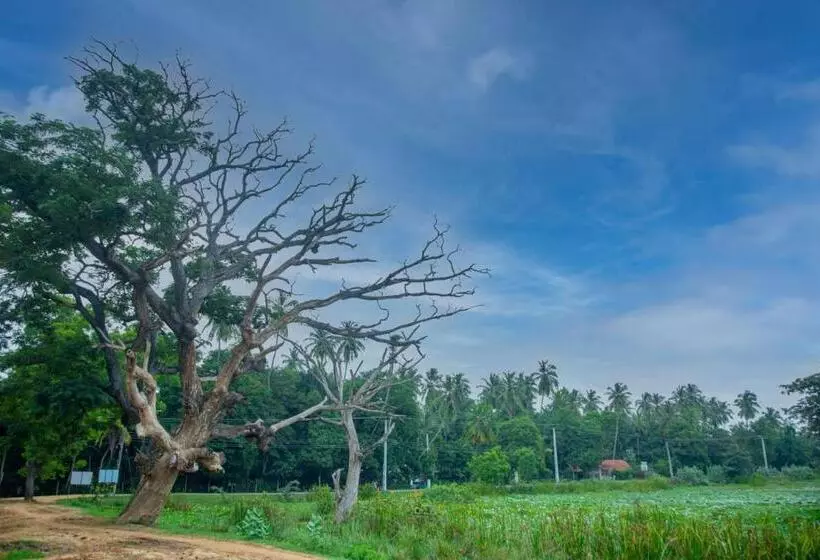 Hotelli Yala Viewer Bird Resort And Safari