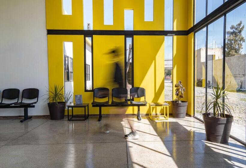 Pansiyon Check Inn Hostal Aeropuerto Gdl