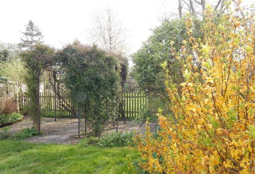 膳宿费 Modern, Well Located En Suite Rooms With Parking & All Facilities