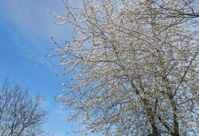 膳宿费 Modern, Well Located En Suite Rooms With Parking & All Facilities