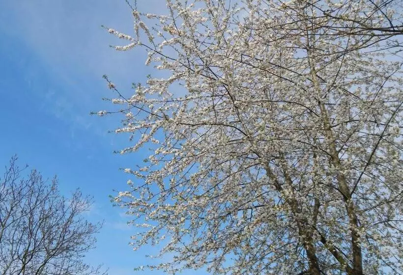 ペンション Modern, Well Located En Suite Rooms With Parking & All Facilities