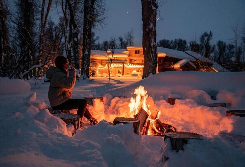 تختخواب و صبحانه Bentwood Inn