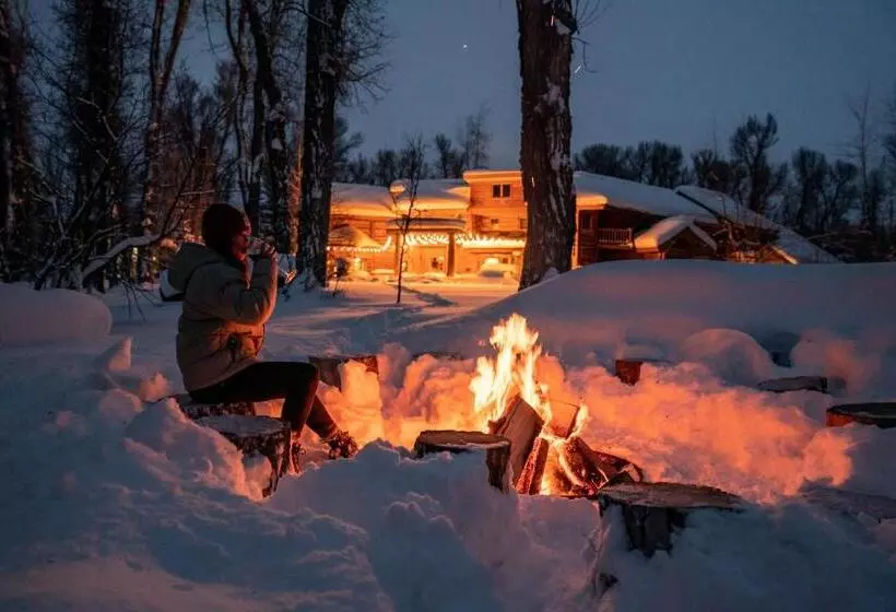 تختخواب و صبحانه Bentwood Inn