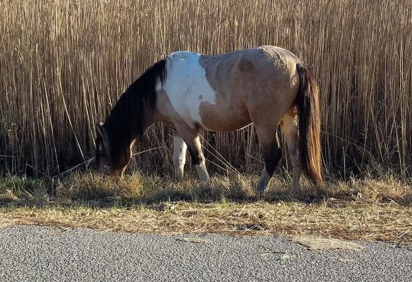 민박 Garden And Sea Inn