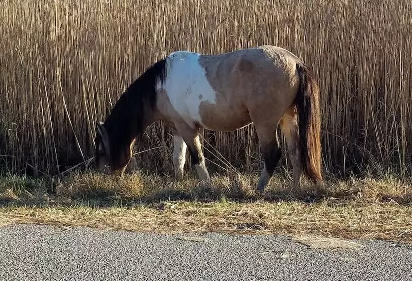 Aamiaismajoitus (B&B) Garden And Sea Inn