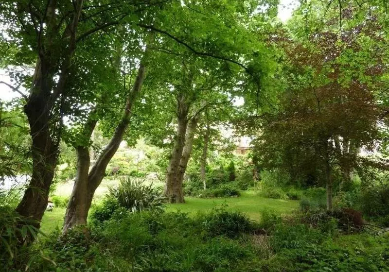 Bed and Breakfast The Regency