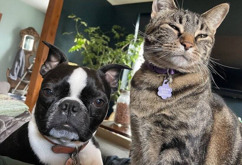 住宿加早餐 The Yorkshire Inn