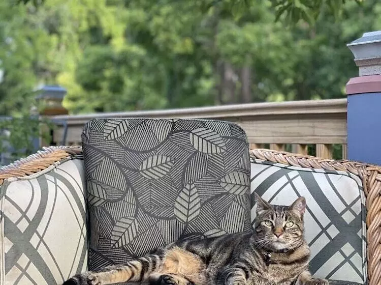 Bed and Breakfast The Yorkshire Inn