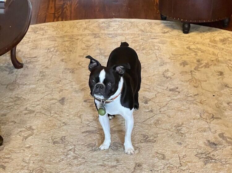 住宿加早餐 The Yorkshire Inn