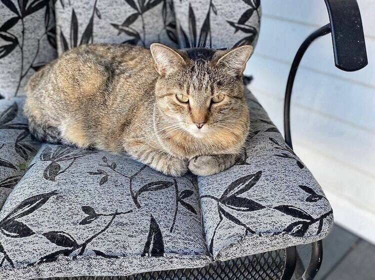 Garden House Bed And Breakfast