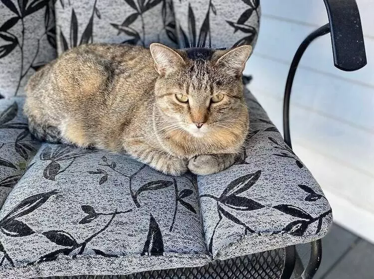 Garden House Bed And Breakfast