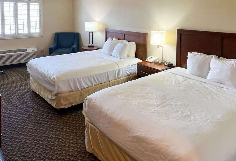 فندق Comfort Inn & Suites Thatcher   Safford
