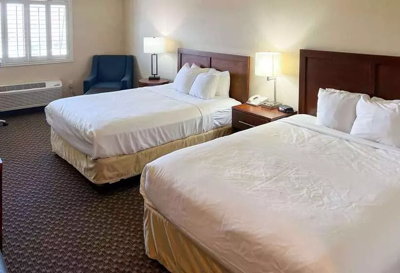 호텔 Comfort Inn & Suites Thatcher Safford