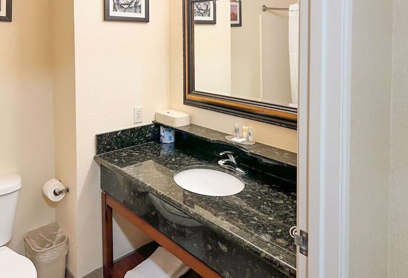 فندق Comfort Inn & Suites Thatcher   Safford