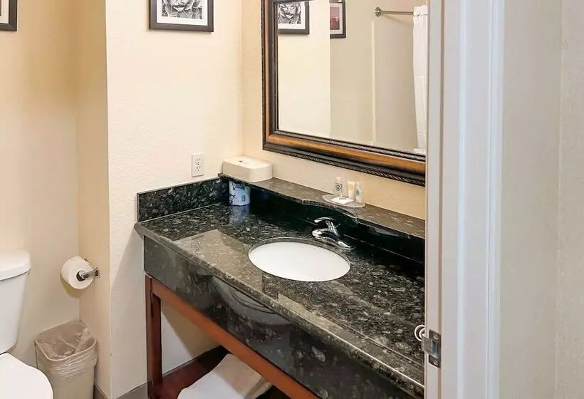 호텔 Comfort Inn & Suites Thatcher Safford