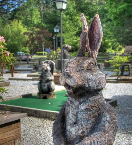 Отель Foxhunt At Sapphire Valley