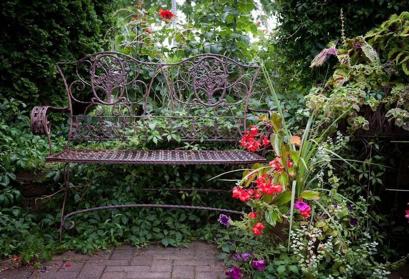 בית מלון כפרי Harbour House