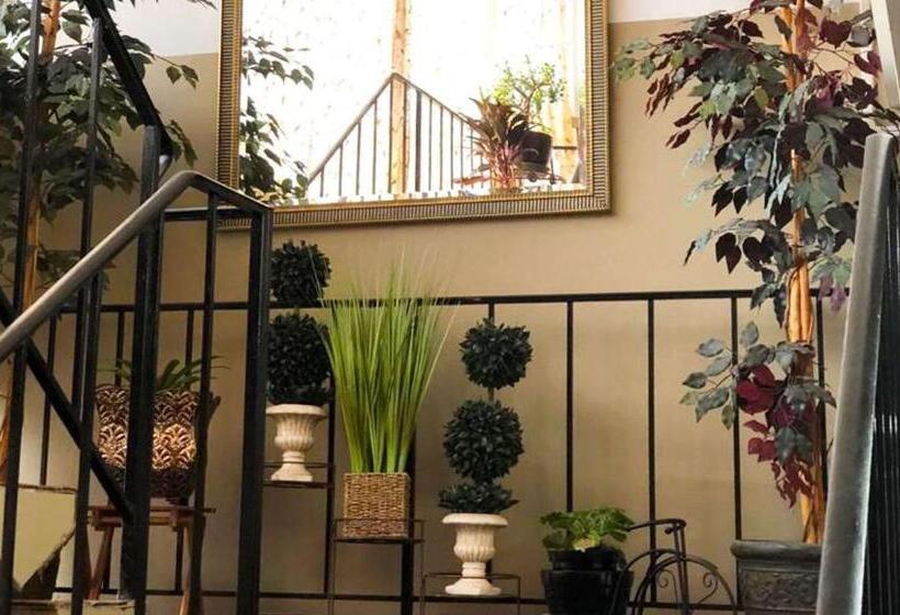 M Star Hotel Mansfield