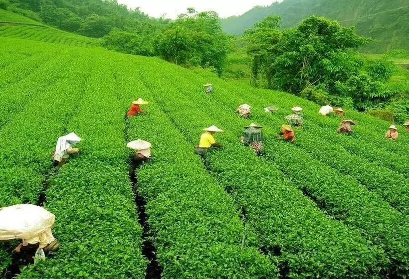 ホテル The Cindrella