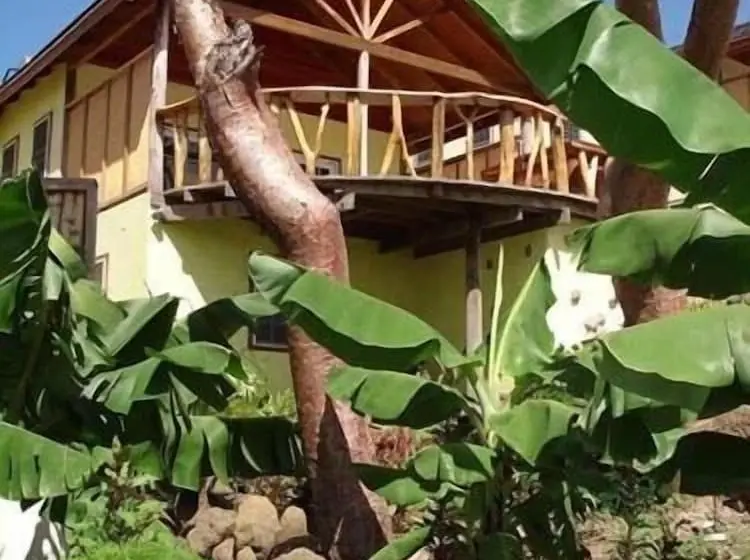 Maca Bana