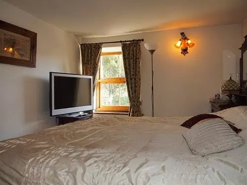 Bed and Breakfast Pig Of Lead