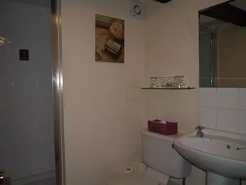 Bed and Breakfast Pig Of Lead