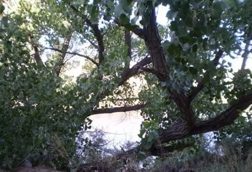 Silver River Adobe Inn Bed And Breakfast