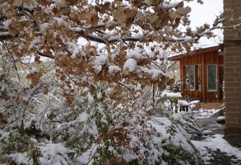 Silver River Adobe Inn Bed And Breakfast