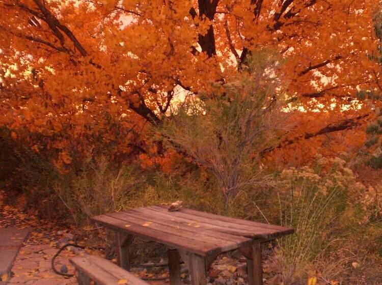 Silver River Adobe Inn Bed And Breakfast