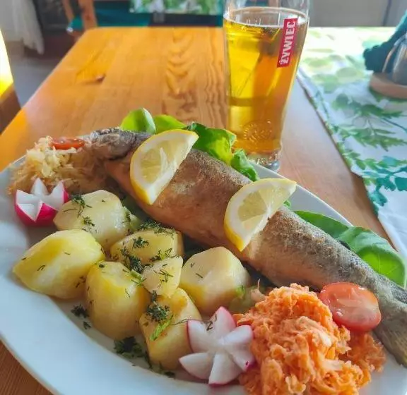 ユースホステル Oberża Kniejówka