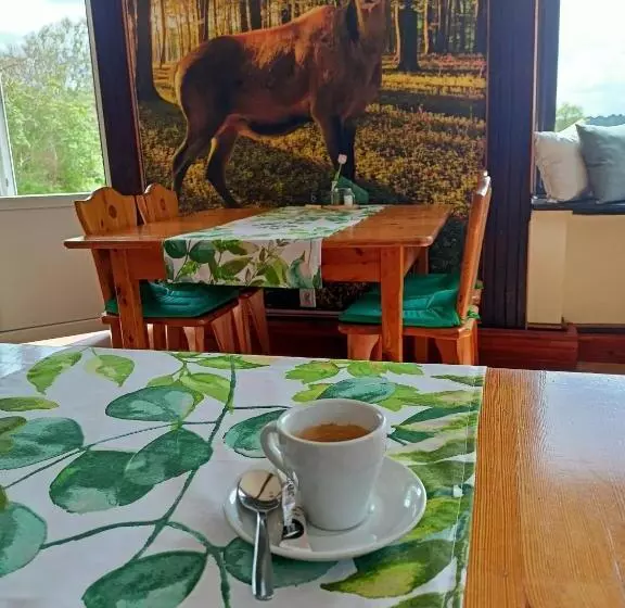 ユースホステル Oberża Kniejówka