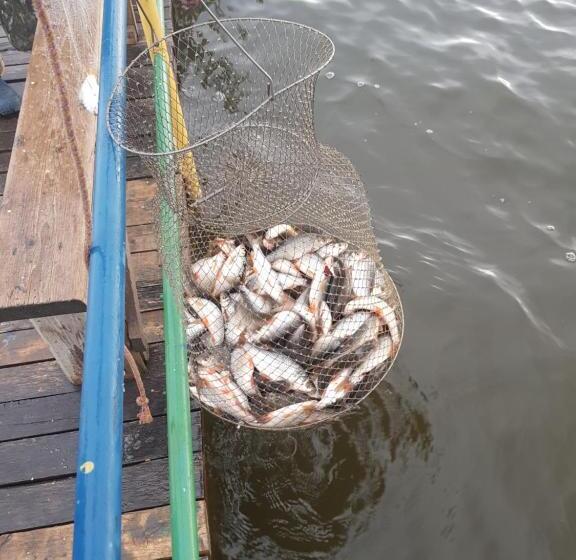 هتل гостевой дом Azia