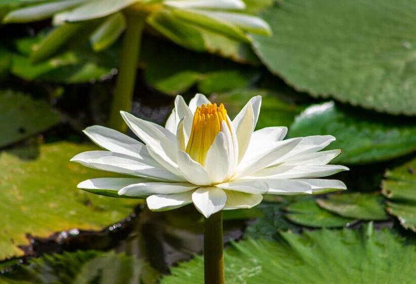 Отель Agroturistico Palma Vino