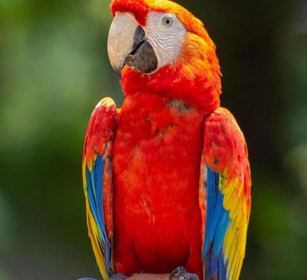 Отель Agroturistico Palma Vino