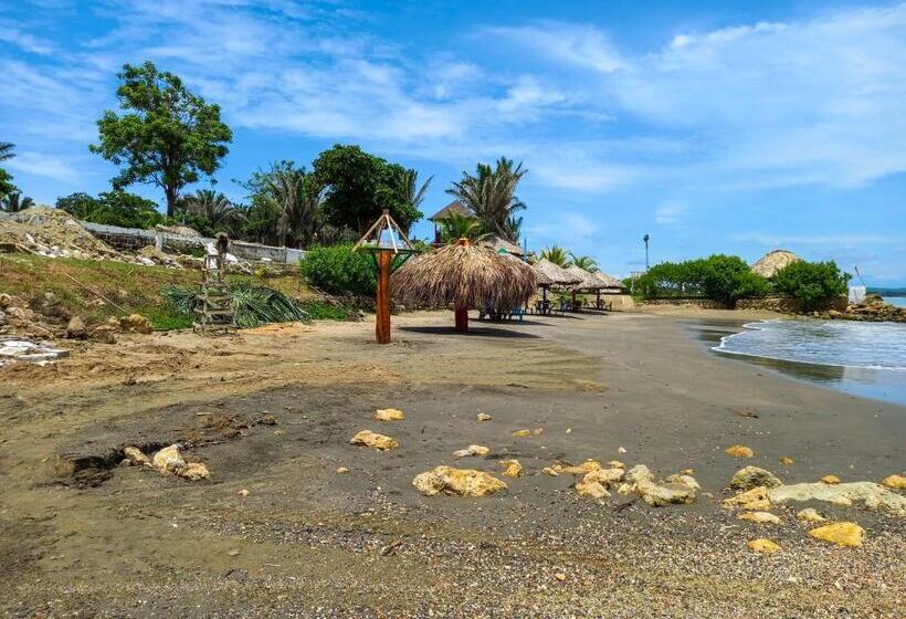 Отель Agroturistico Palma Vino