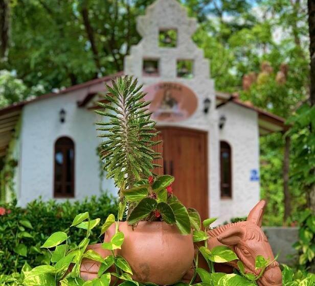 Отель Agroturistico Palma Vino