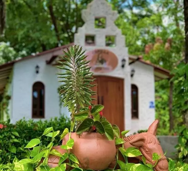 ホテル Agroturistico Palma Vino