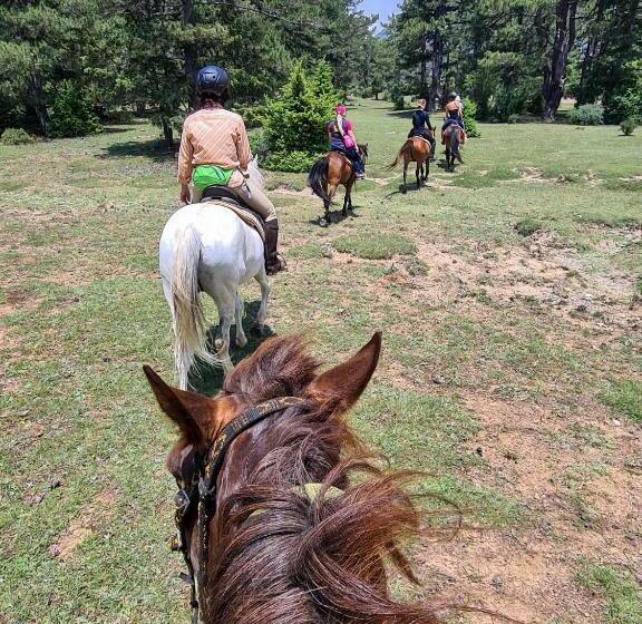 Отель Ali Pasa Konagi