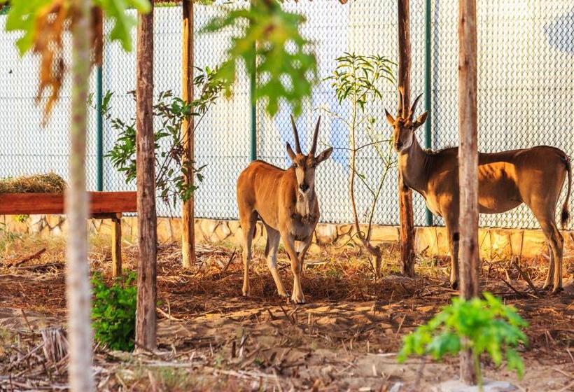 هتل Aya Sophia Villa Garden