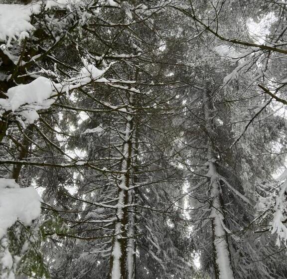 فندق Locanda Bocchetto Sessera